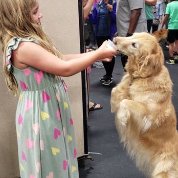 Frolick Dogs - Party tricks for puppy ice cream - Pet Sitting Near Me - Alexandria, Virginia Frolick Dogs - Party tricks for puppy ice cream - Pet Sitting Near Me - Alexandria, Virginia