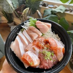Deluxe Toro Don Deluxe Toro Don