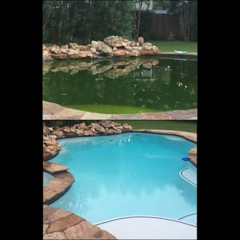 Watts Pool Service - Before and after Watts serviced my swampy mess. This was less than 48 hours. - Pool & Hot Tub Service Near Me - Houston, Texas Watts Pool Service - Before and after Watts serviced my swampy mess. This was less than 48 hours. - Pool & Hot Tub Service Near Me - Houston, Texas