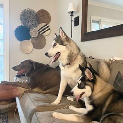 Eloise Rescue - Kaia and her new brother and sister