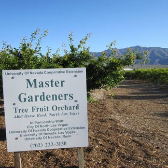 Master Gardener Orchard Farmers Market Horse Dr North Las Vegas Nv Phone Number Master Gardener Orchard Farmers, North Las Vegas Gardeners