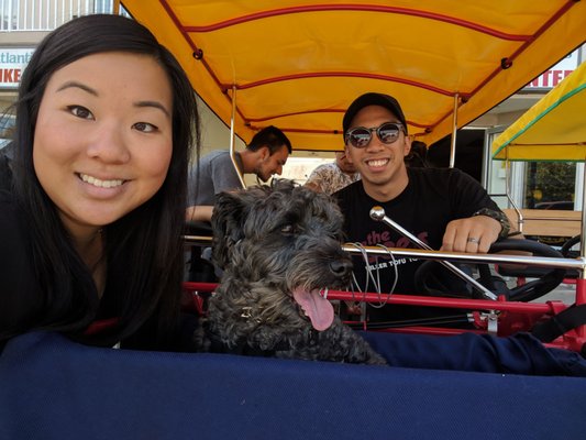 Atlantic Cycles by null