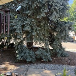 Scape Sol Landscaping