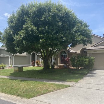 Blaze Tree Service - Finished pic...everything is so clean. - Tree Services Near Me