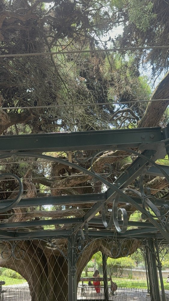 Jardim do Príncipe Real