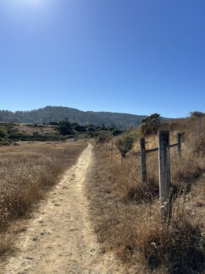 Tomales Bay Trailhead by null