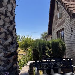 Banuelos Law Office