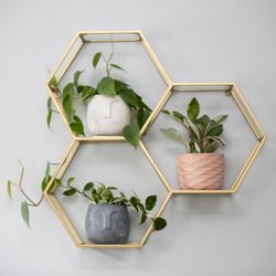 Verde Tribe Plant Shop - Our plants are sourced from nurseries in North Carolina and our planters are handmade in Charlotte.