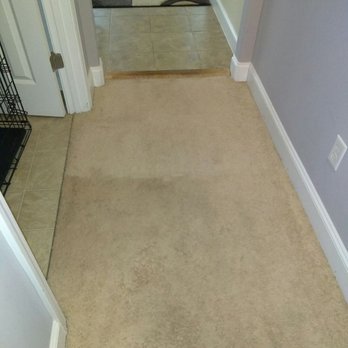 Klean as a Whistle - Traffic Stain Removal. - Carpet Cleaning Near Me - McDonough, Georgia Klean as a Whistle - Traffic Stain Removal. - Carpet Cleaning Near Me - McDonough, Georgia