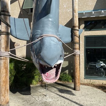 Bruce The Shark - Public Art Near Me - Destin, Florida Bruce The Shark - Public Art Near Me - Destin, Florida