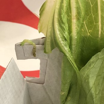 Chick-fil-A - ows lettuce in a paper bag - Fast Food Near Me - Peoria, Arizona Chick-fil-A - ows lettuce in a paper bag - Fast Food Near Me - Peoria, Arizona