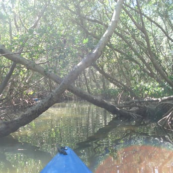Ted Sperling Park - limbo time - Rafting/Kayaking Near Me - Sarasota, Florida Ted Sperling Park - limbo time - Rafting/Kayaking Near Me - Sarasota, Florida