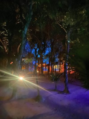 Papaya Playa Project by null