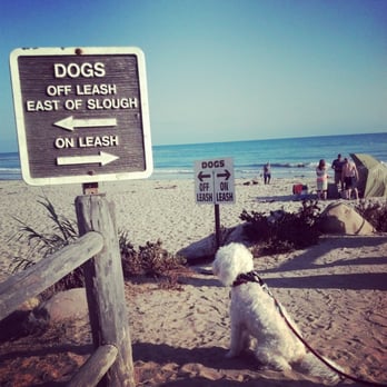 Camp Cammie - First trip to the beach, we got to go OFF LEASH! - Dog Walkers Near Me - Long Beach, California Camp Cammie - First trip to the beach, we got to go OFF LEASH! - Dog Walkers Near Me - Long Beach, California