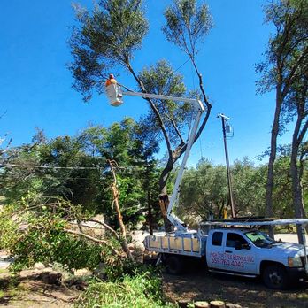 High Top Tree Service - Tree Services Near Me