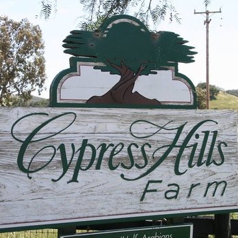 Gold Medal Equestrian - Cypress Hills Farm - Horseback Riding Near Me - Templeton, California Gold Medal Equestrian - Cypress Hills Farm - Horseback Riding Near Me - Templeton, California