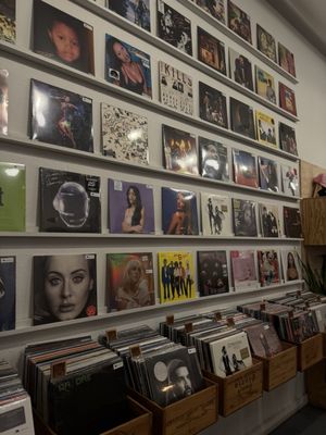 Spinster Records by null