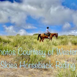 Western Skies Horseback Riding