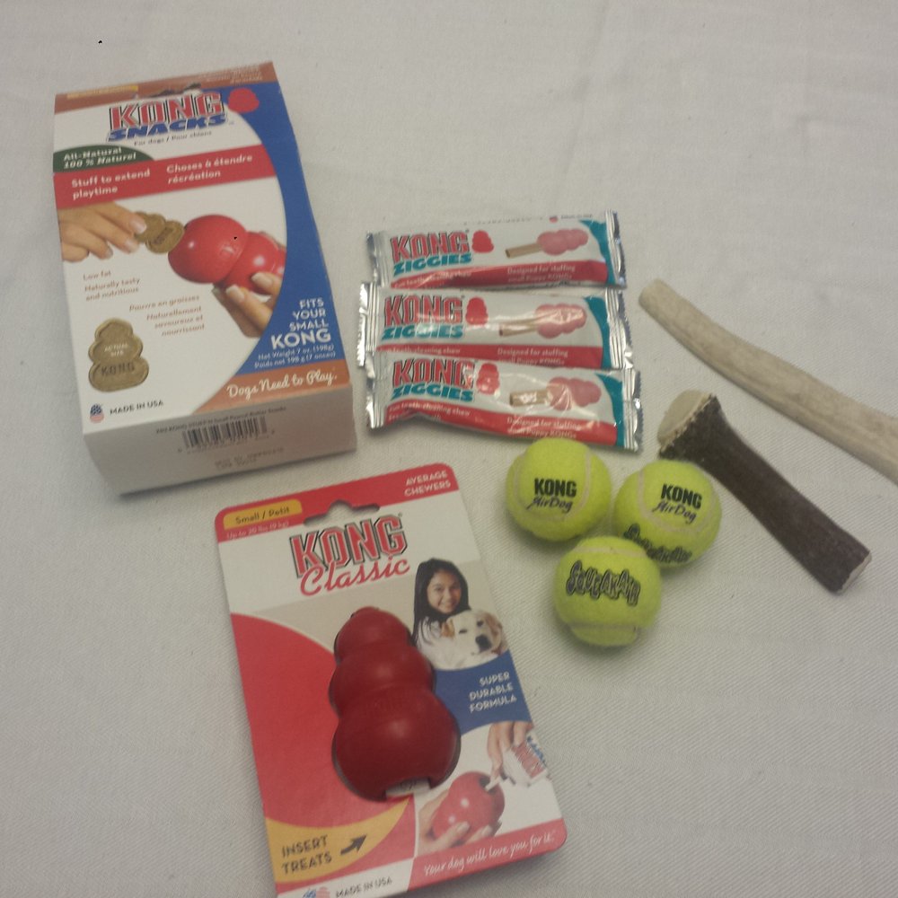 PetSmart - Hoping these toys and tools will help train an adoptive puppy who is struggling with separation anxiety - Pet Training Near Me - Orlando, Florida PetSmart - Hoping these toys and tools will help train an adoptive puppy who is struggling with separation anxiety - Pet Training Near Me - Orlando, Florida