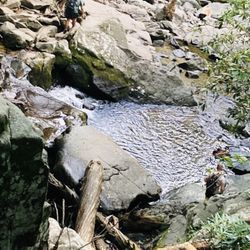 Laurel Falls Trailhead