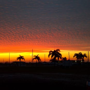 IronHead Tree Service - Tree Services Near Me - Lakeland, Florida IronHead Tree Service - Tree Services Near Me - Lakeland, Florida