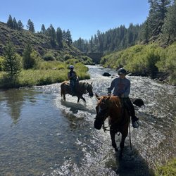 Piping Rock Horses - Crossing at Prosser Creek