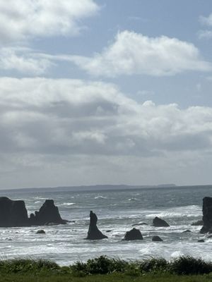 Bandon Bait by null