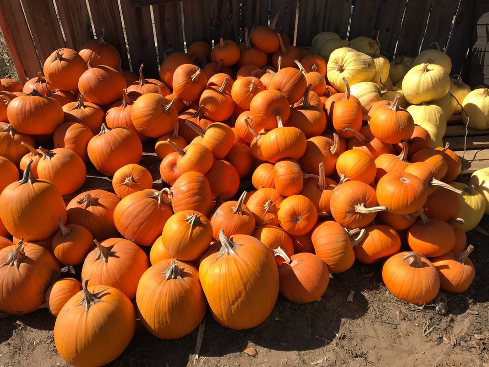 HALCYON FARMS 126 Photos & 49 Reviews 1075 The Pike, Arroyo Grande