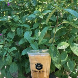 Iced vanilla latte
