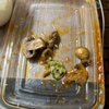 Hibachi Ichiban gift card