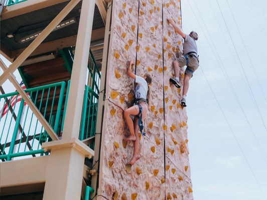 HarborWalk Adventures by null