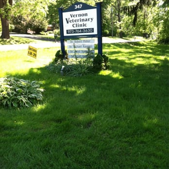 Vernon Veterinary Clinic - Veterinarians Near Me - Vernon, New Jersey Vernon Veterinary Clinic - Veterinarians Near Me - Vernon, New Jersey