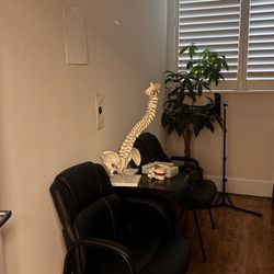 California Brain and Spine Center