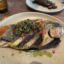 Trout
