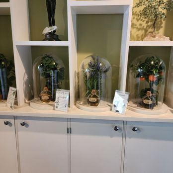 Deluca Massage & Bodywork - Day Spas Near Me - Washington, DC, District of Columbia