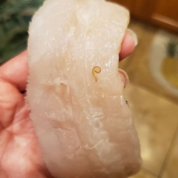 Nelson's Meat + Fish - Went to make fish tacos for my moms last night in town with this great Cod. I opened it up and found multiple of these little guys! - Seafood Markets Near Me - Phoenix, Arizona