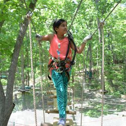 Treetop Quest - Greenville