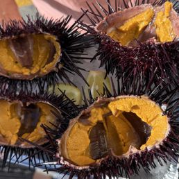 03/18/2026 - Live Uni $20/each