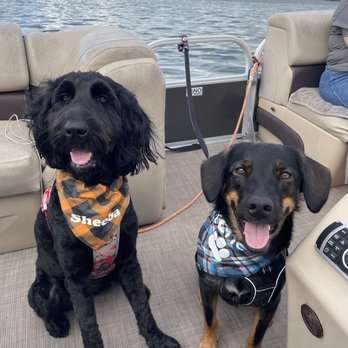 Lake Adventures - The pups - Boating Near Me - Eustis, Florida