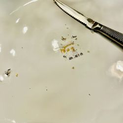 HomeGoods - This is a beautiful platter I brought that the sticker, placed right in the center of the platter, is impossible to remove. Ridiculous.