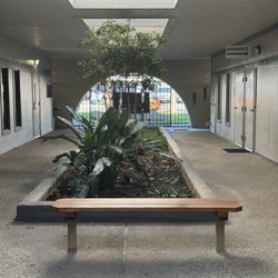 Bridges of the Mind Psychological Services - Relax in our beautiful atrium.