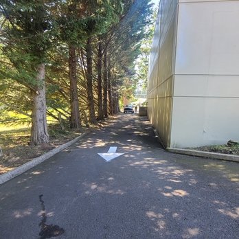 Jake The Tree Guy - Tree Services Near Me Jake The Tree Guy - Tree Services Near Me