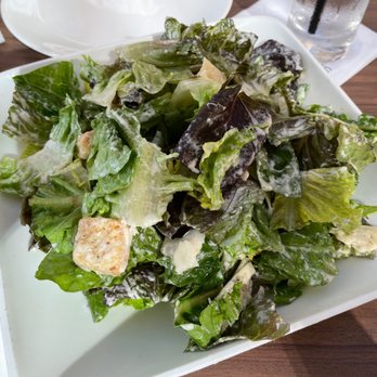Splashes Restaurant - New American Near Me - Laguna Beach, California Splashes Restaurant - New American Near Me - Laguna Beach, California
