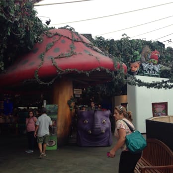 Rainforest Cafe - American Near Me - Sunrise, Florida