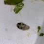 Photo of Antonio's Quick Lunch