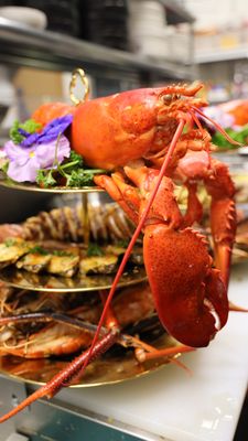 Fin Thai SF by null