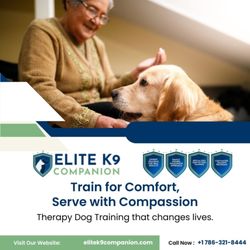 Elite K9 Companion