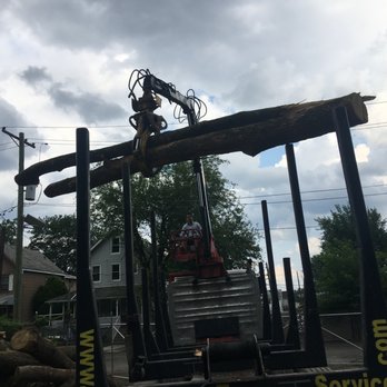 Frank's Tree Service - Tree Services Near Me - Summit, New Jersey