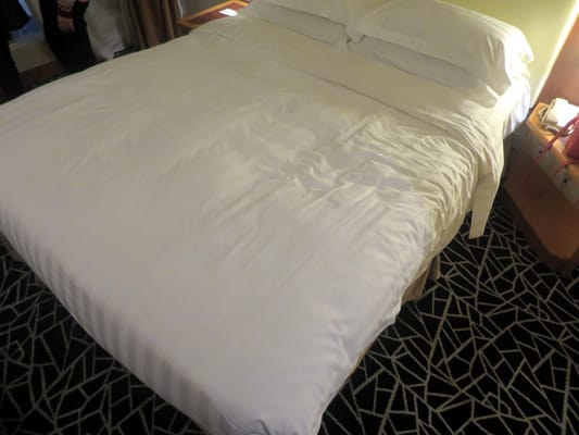 Oasis Avenue by null