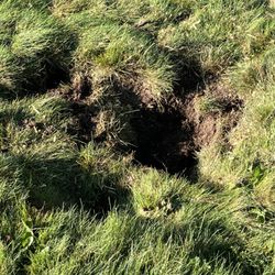 J&J Brothers - Indented ground surface